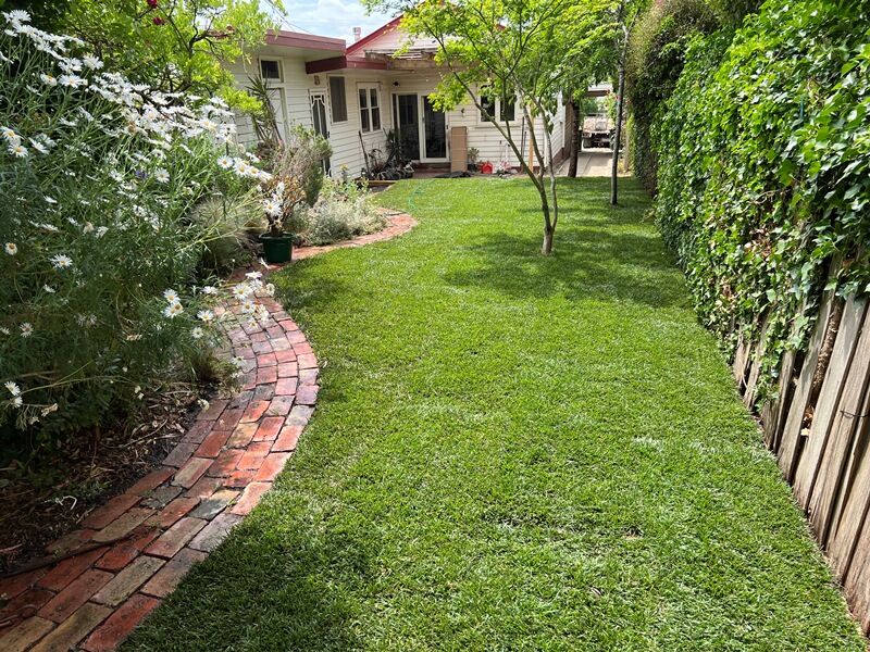 Instant Turf - Dridan Contracting