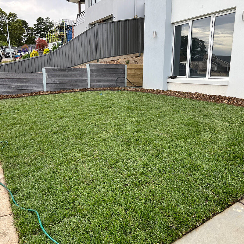 Instant Turf Installation