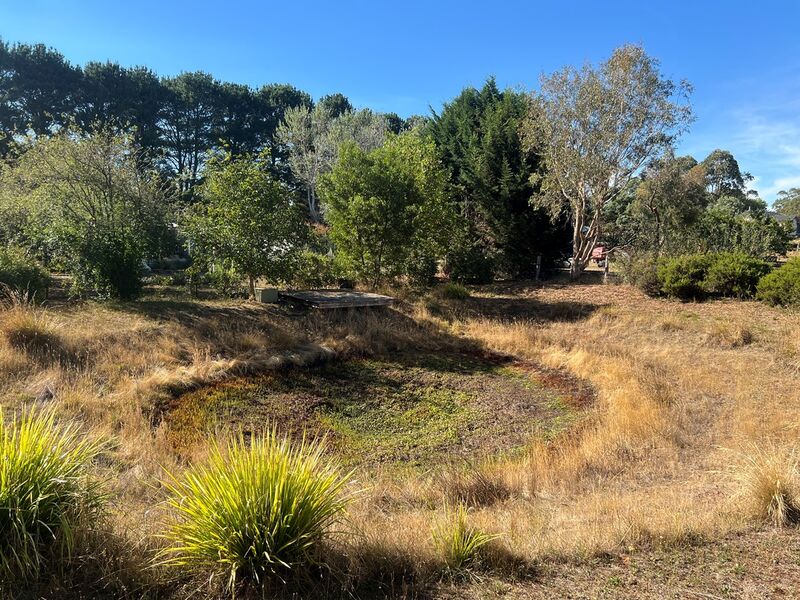 Dam Restoration - Dridan Contracting