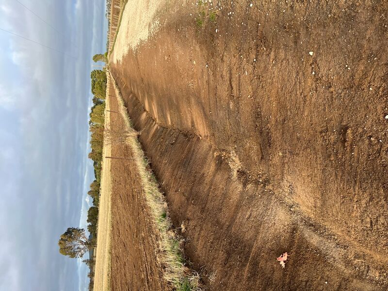 Drainage Solutions - Dridan Contracting