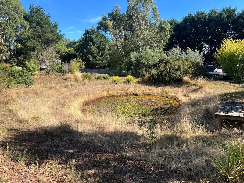 Overgrown to Outstanding - Dridan Contracting